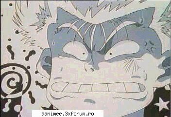 6. poze